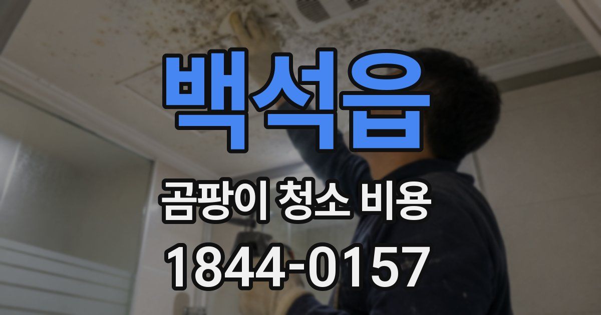 백석읍 곰팡이 청소 비용