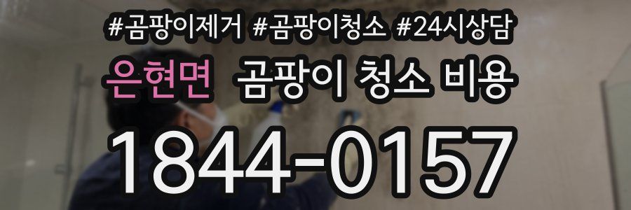 은현면 곰팡이 청소 비용