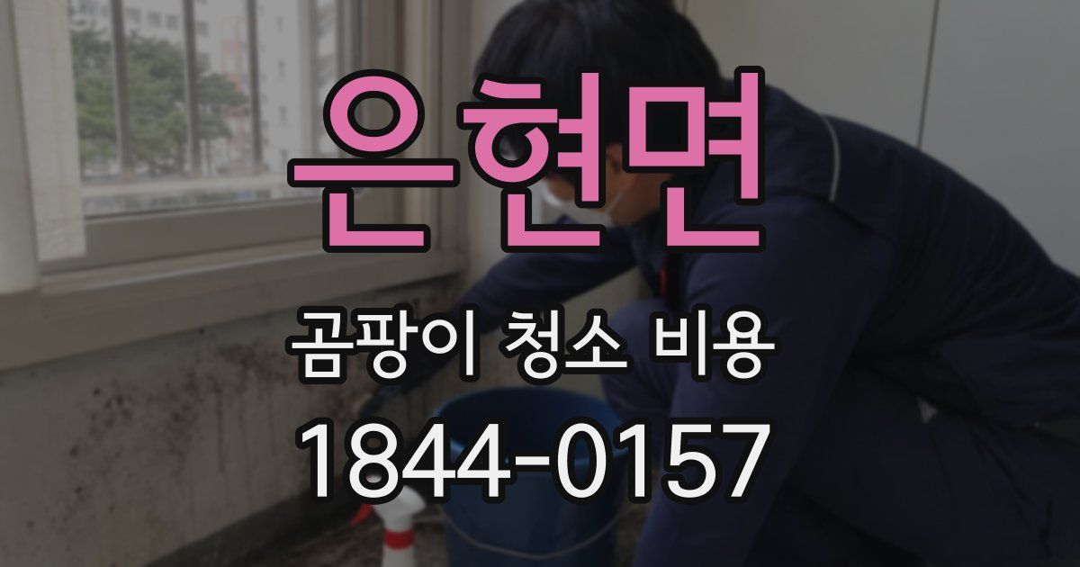 은현면 곰팡이 청소 비용