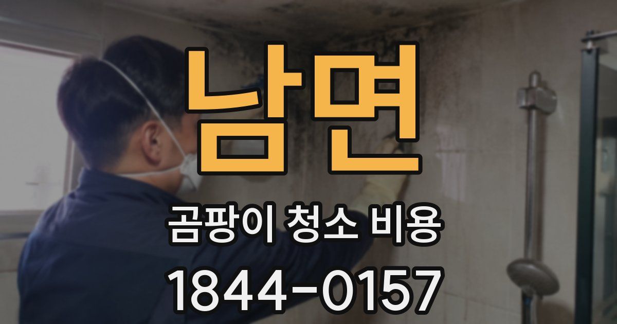 남면 곰팡이 청소 비용