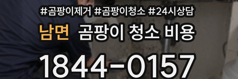 남면 곰팡이 청소 비용