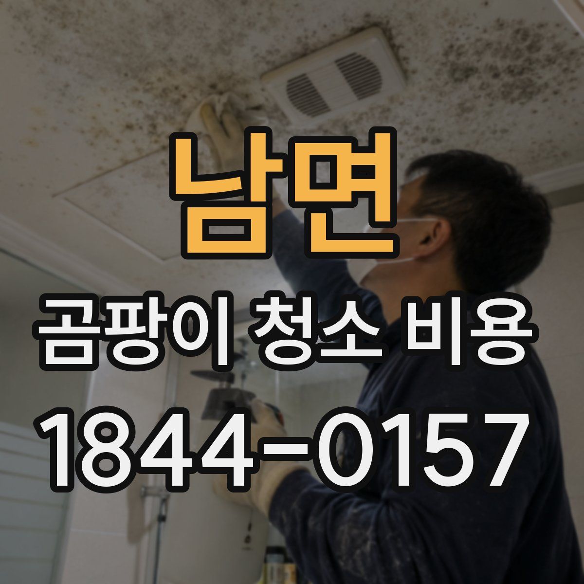 남면 곰팡이 청소 비용