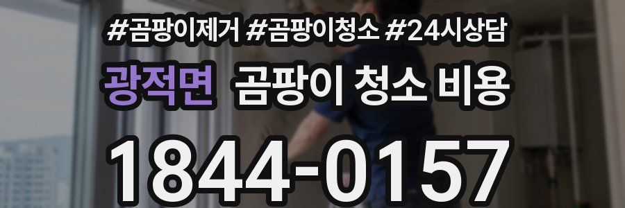 광적면 곰팡이 청소 비용
