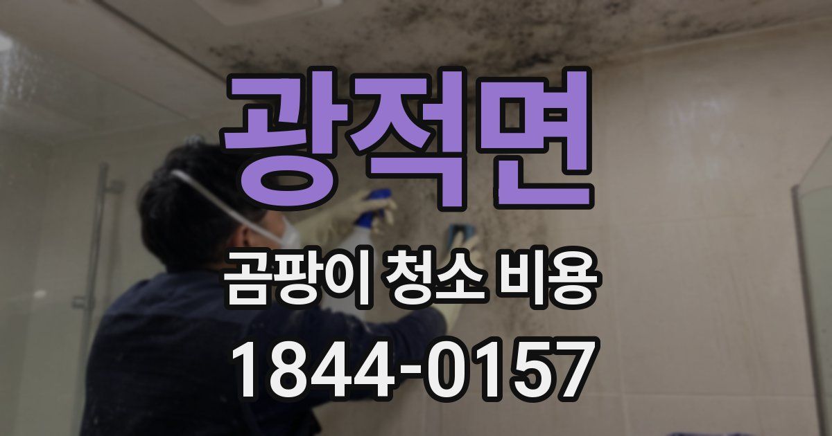 광적면 곰팡이 청소 비용