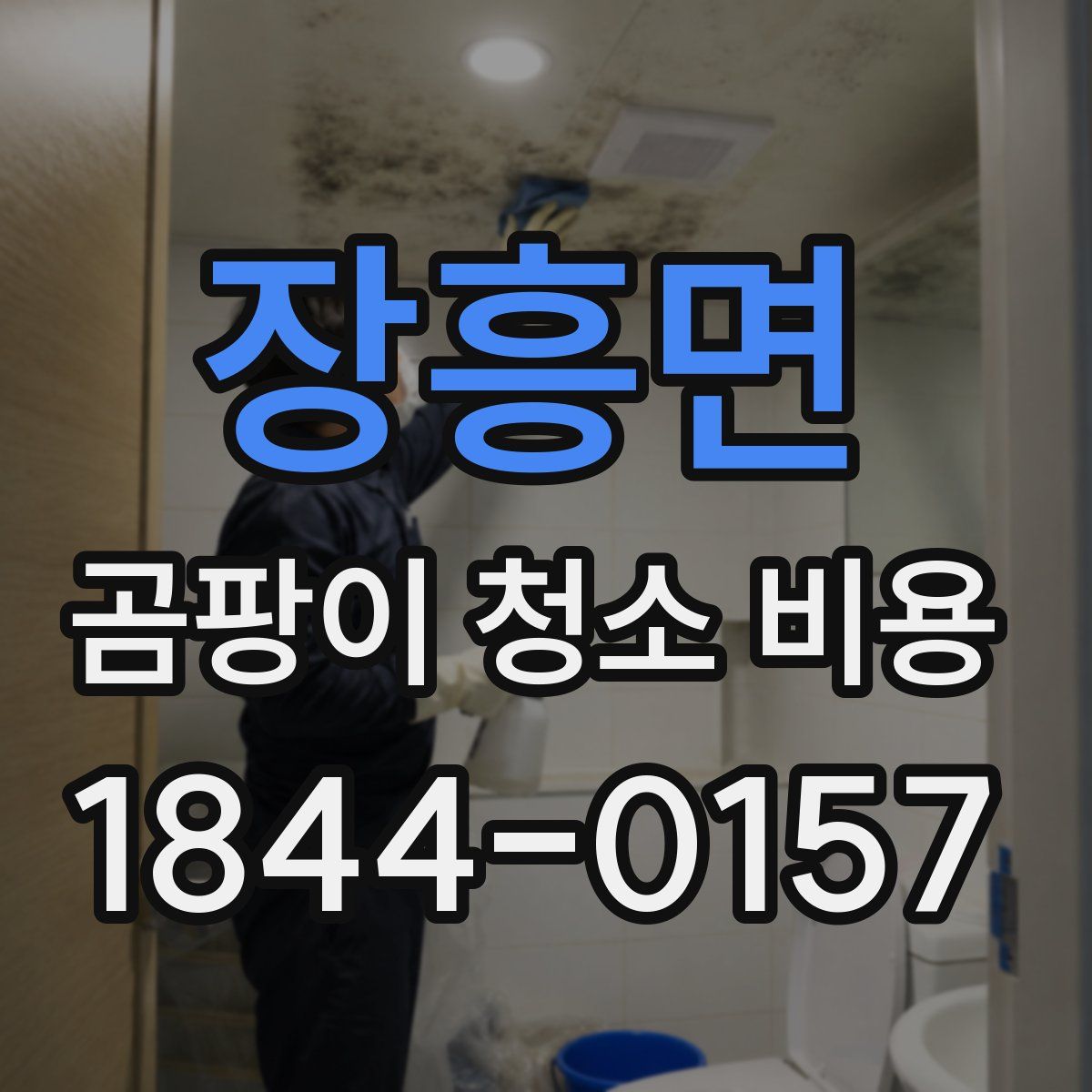 장흥면 곰팡이 청소 비용