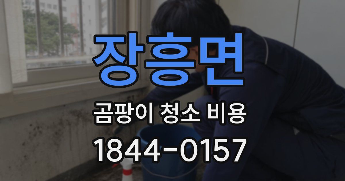 장흥면 곰팡이 청소 비용
