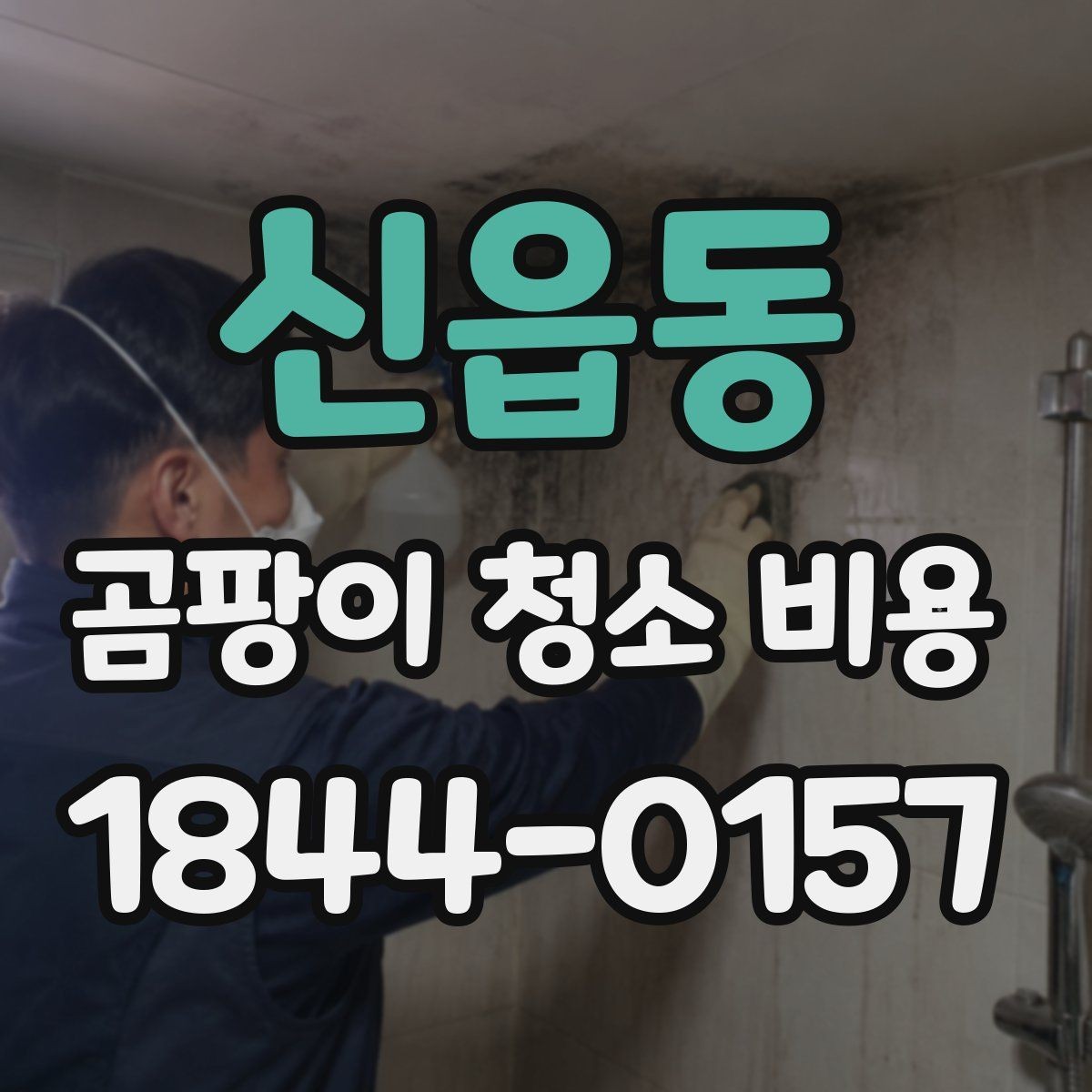 신읍동 곰팡이 청소 비용 벽지 얼룩과 냄새가 함께 남을 때