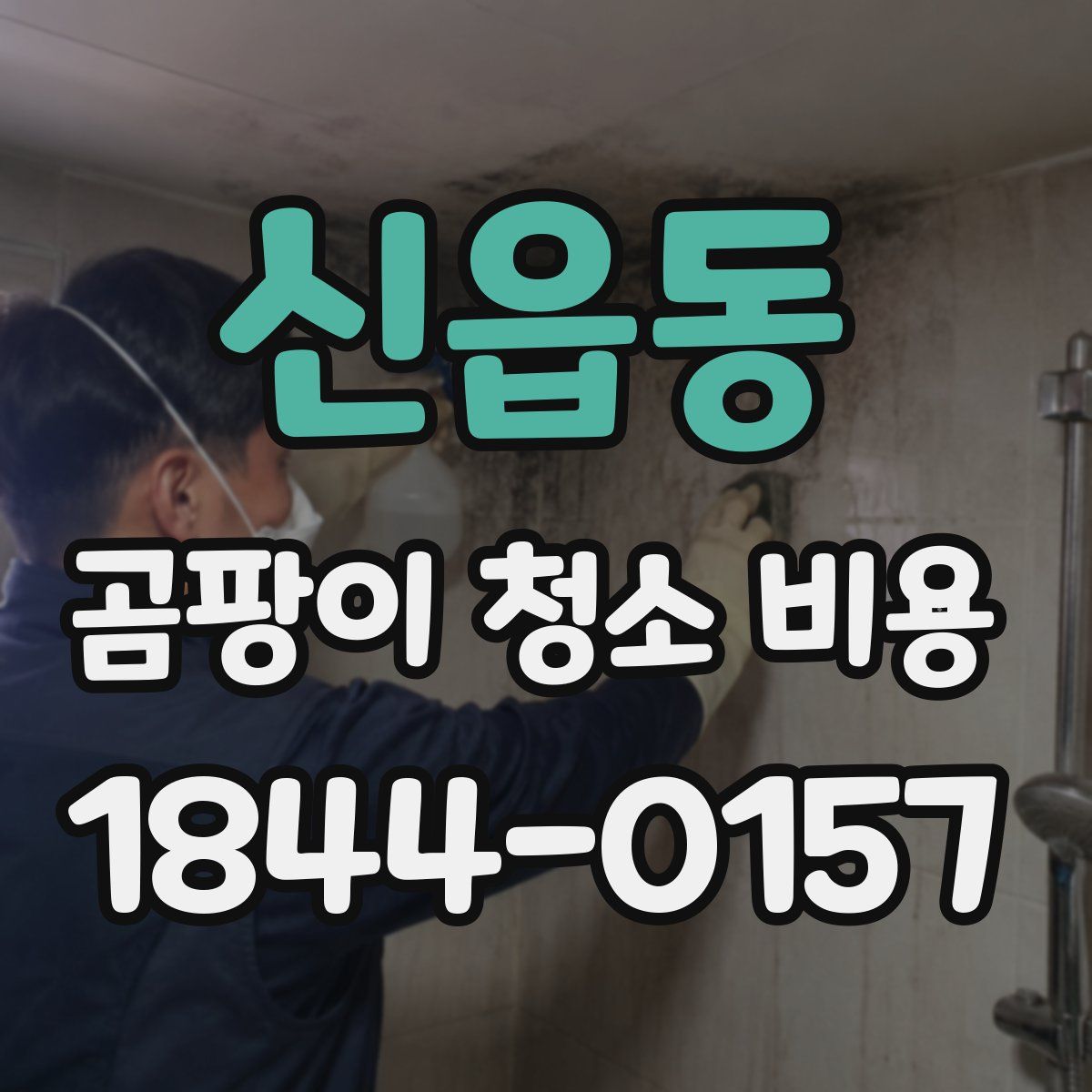 신읍동 곰팡이 청소 비용