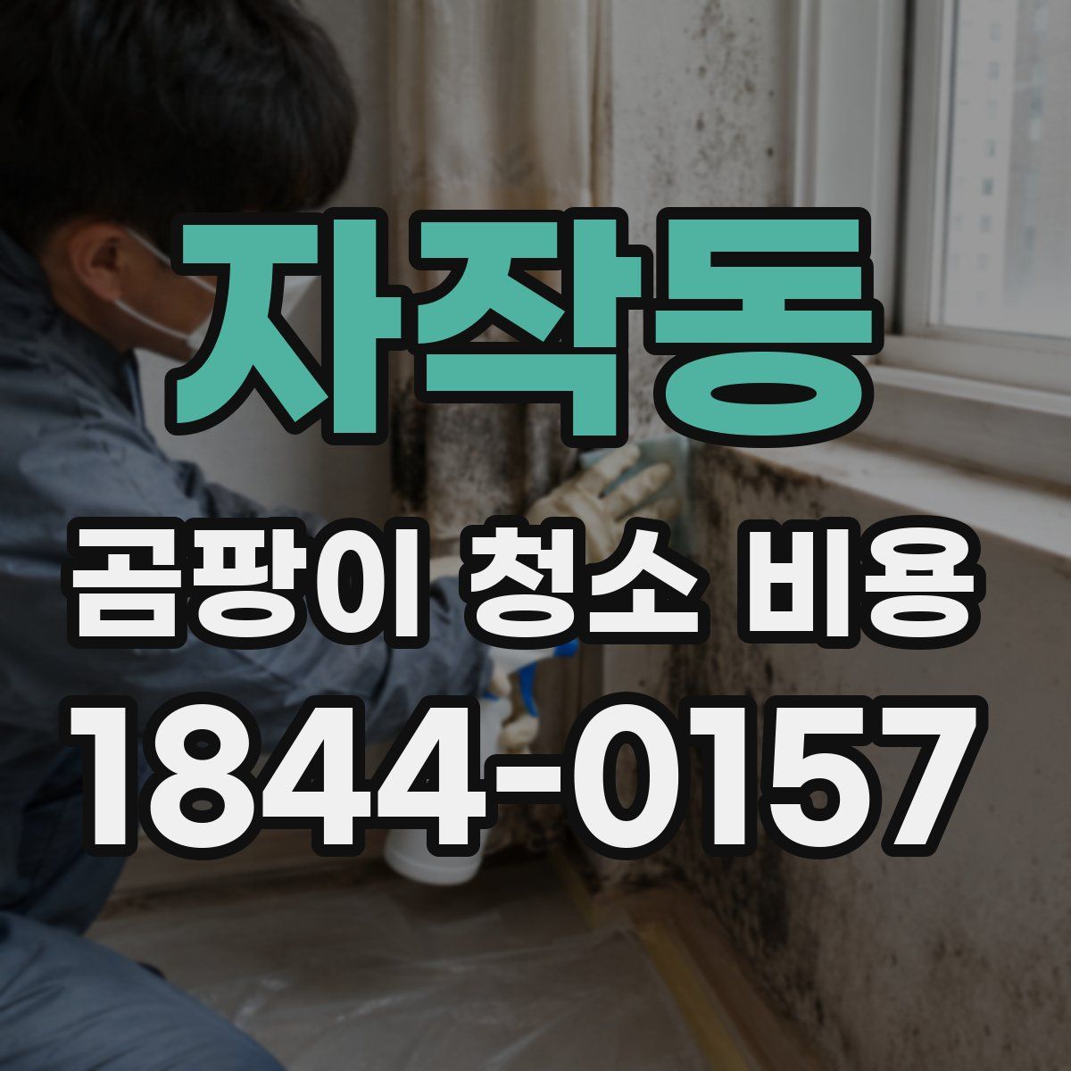 자작동 곰팡이 청소 비용