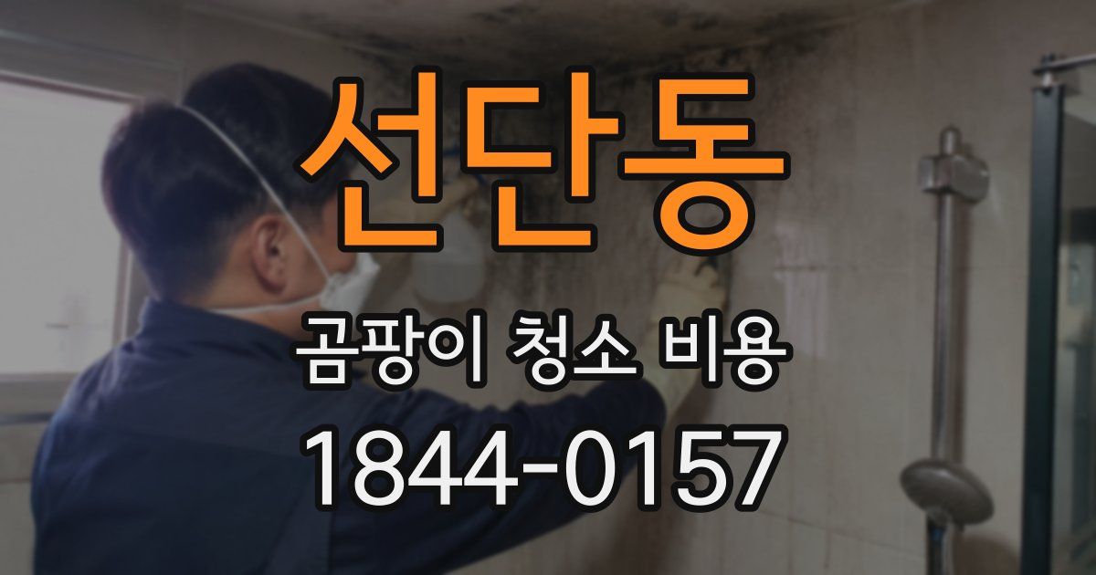 선단동 곰팡이 청소 비용