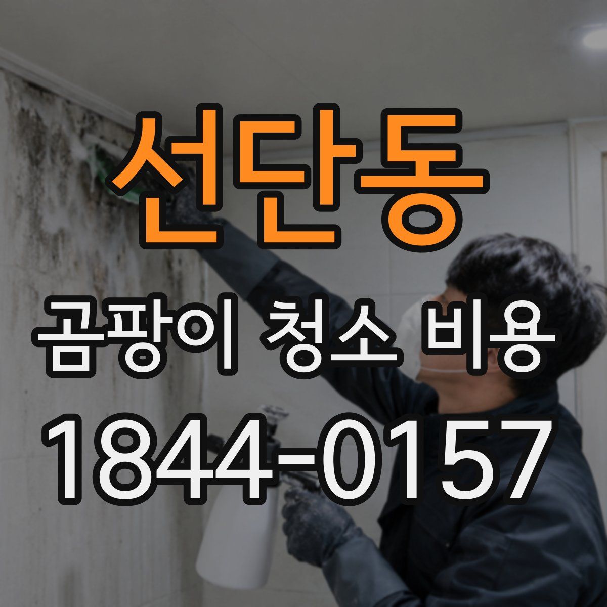 선단동 곰팡이 청소 비용