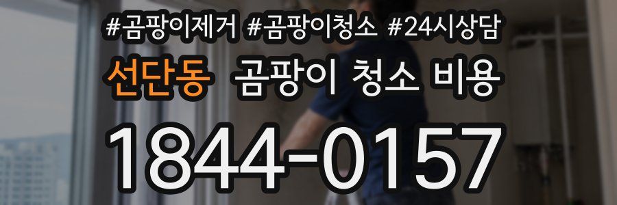 선단동 곰팡이 청소 비용