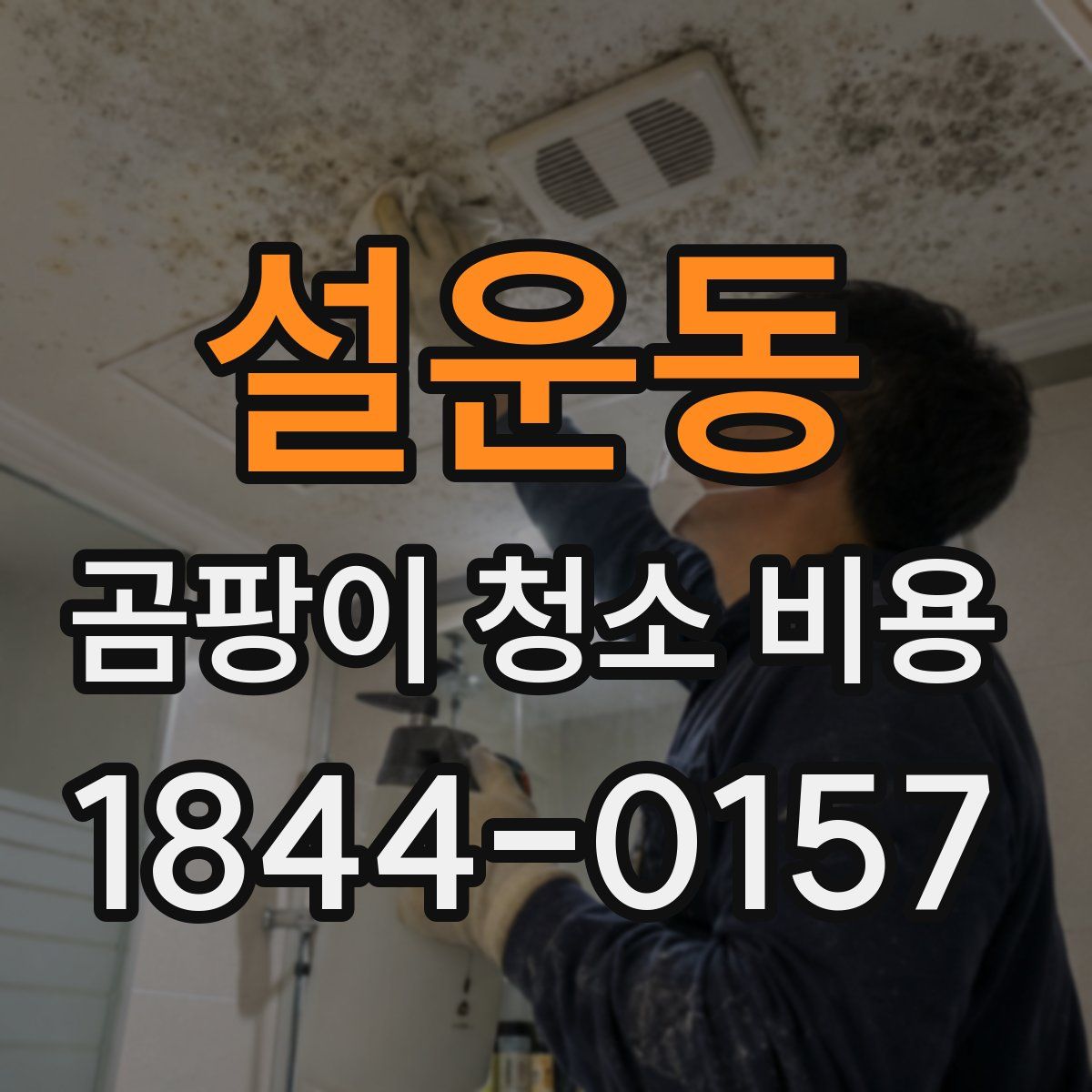 설운동 곰팡이 청소 비용