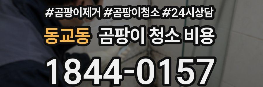 동교동 곰팡이 청소 비용