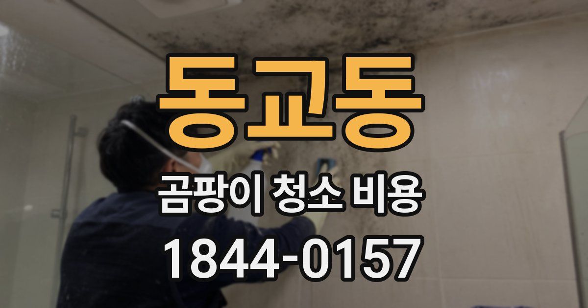동교동 곰팡이 청소 비용