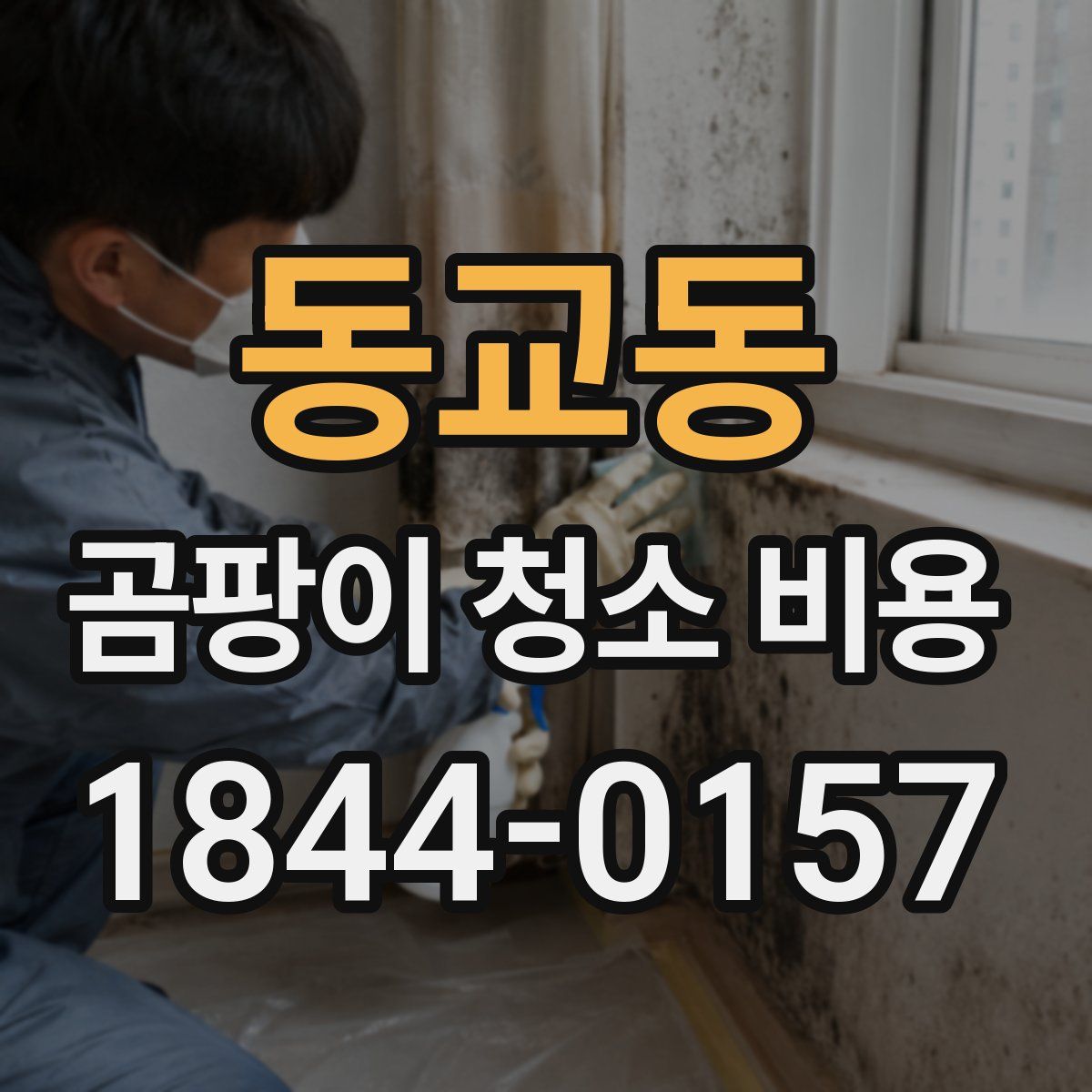 동교동 곰팡이 청소 비용