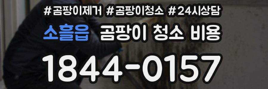 소흘읍 곰팡이 청소 비용