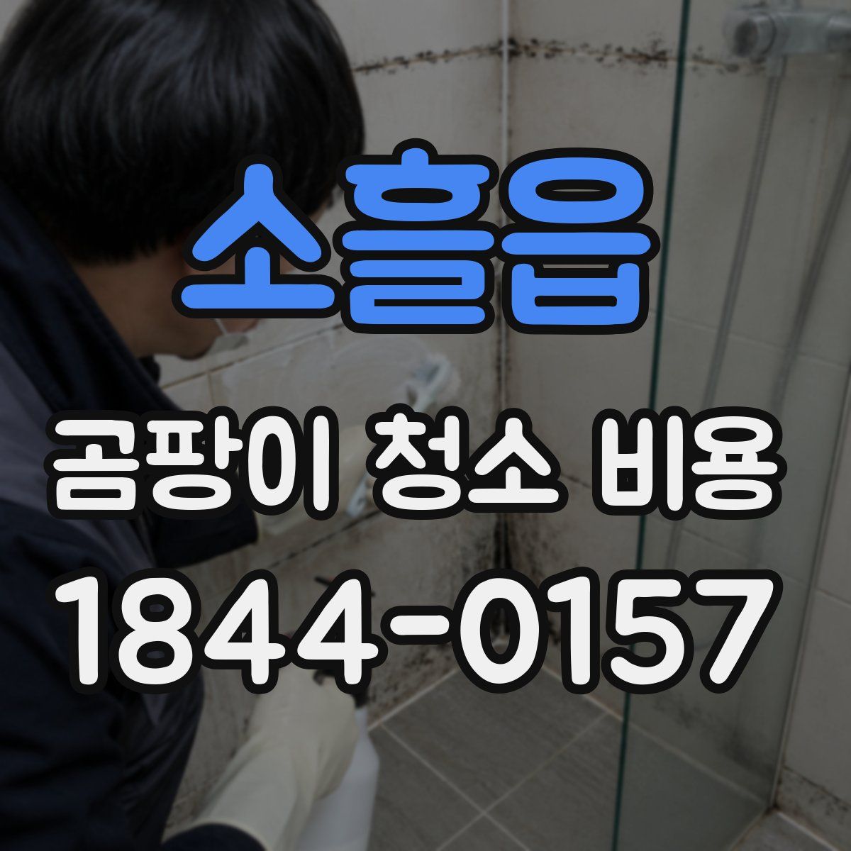 소흘읍 곰팡이 청소 비용