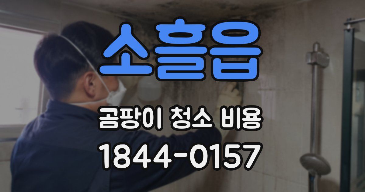 소흘읍 곰팡이 청소 비용