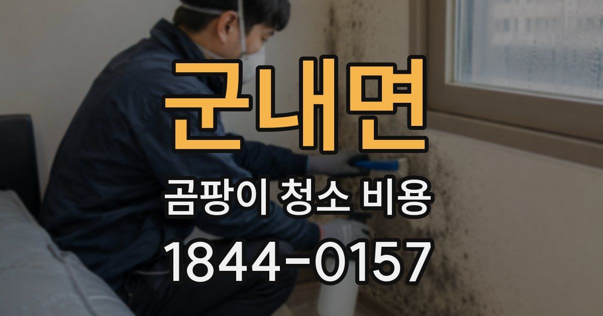 군내면 곰팡이 청소 비용