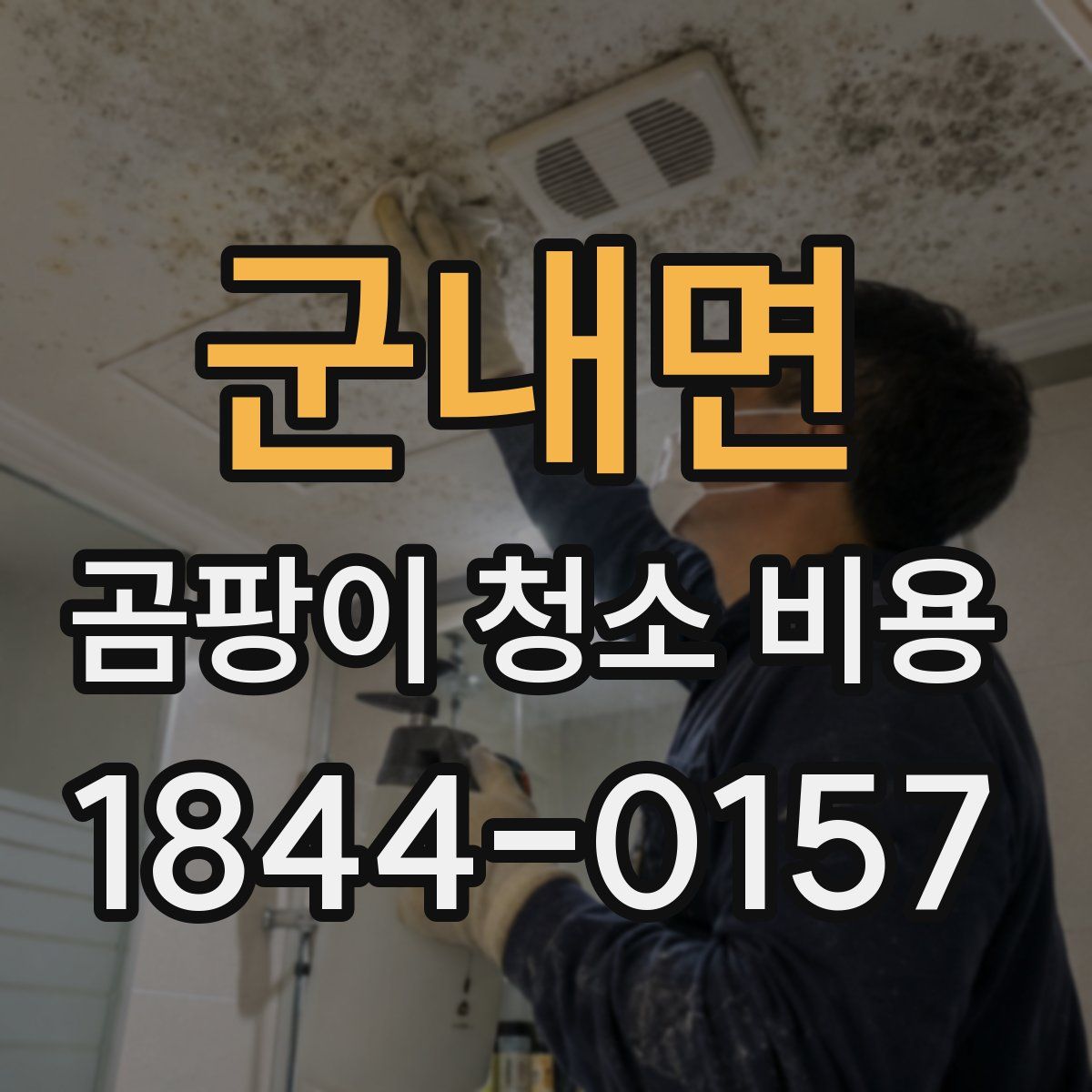 군내면 곰팡이 청소 비용