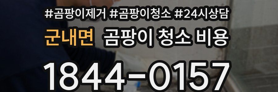 군내면 곰팡이 청소 비용