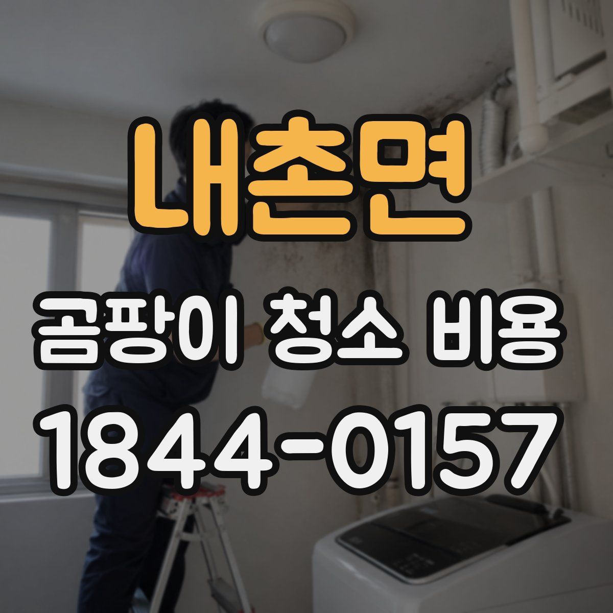내촌면 곰팡이 청소 비용