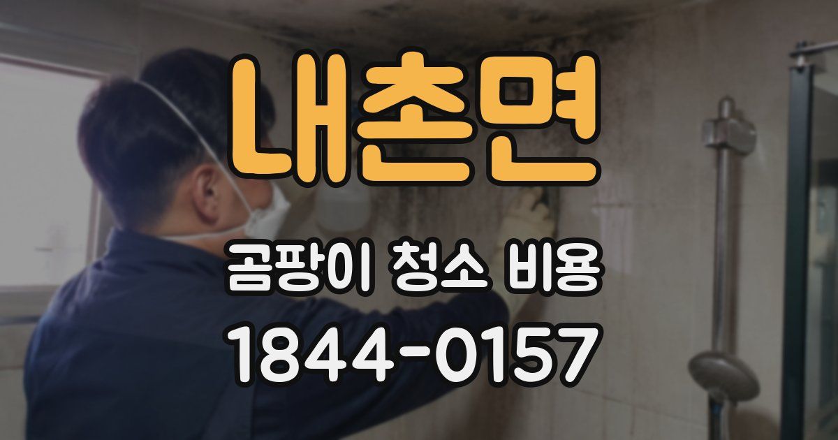 내촌면 곰팡이 청소 비용