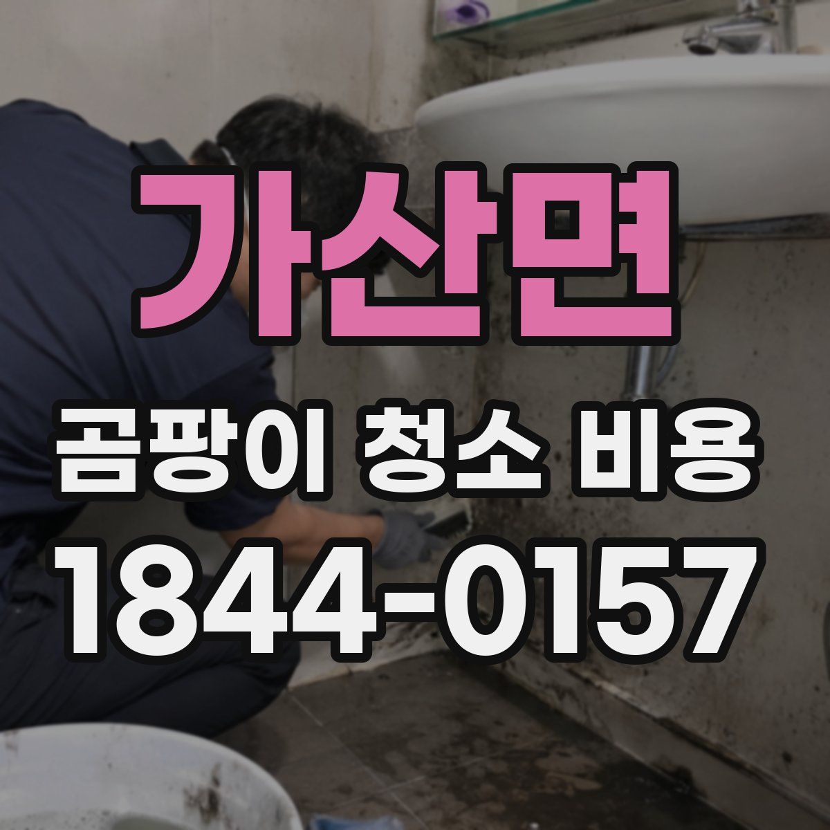 가산면 곰팡이 청소 비용