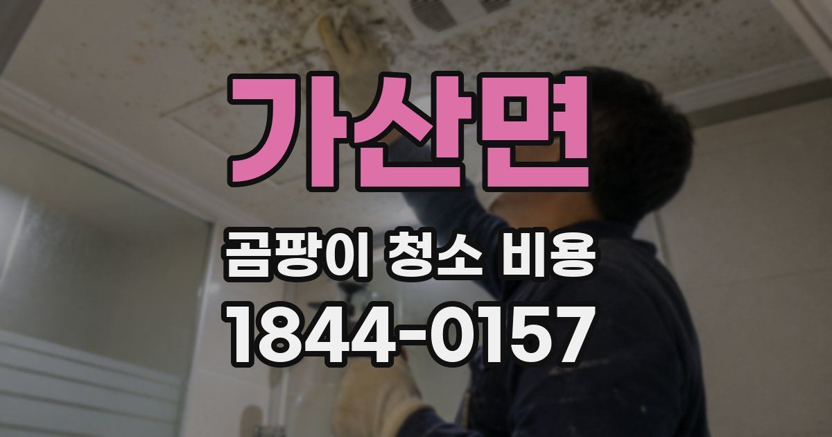 가산면 곰팡이 청소 비용