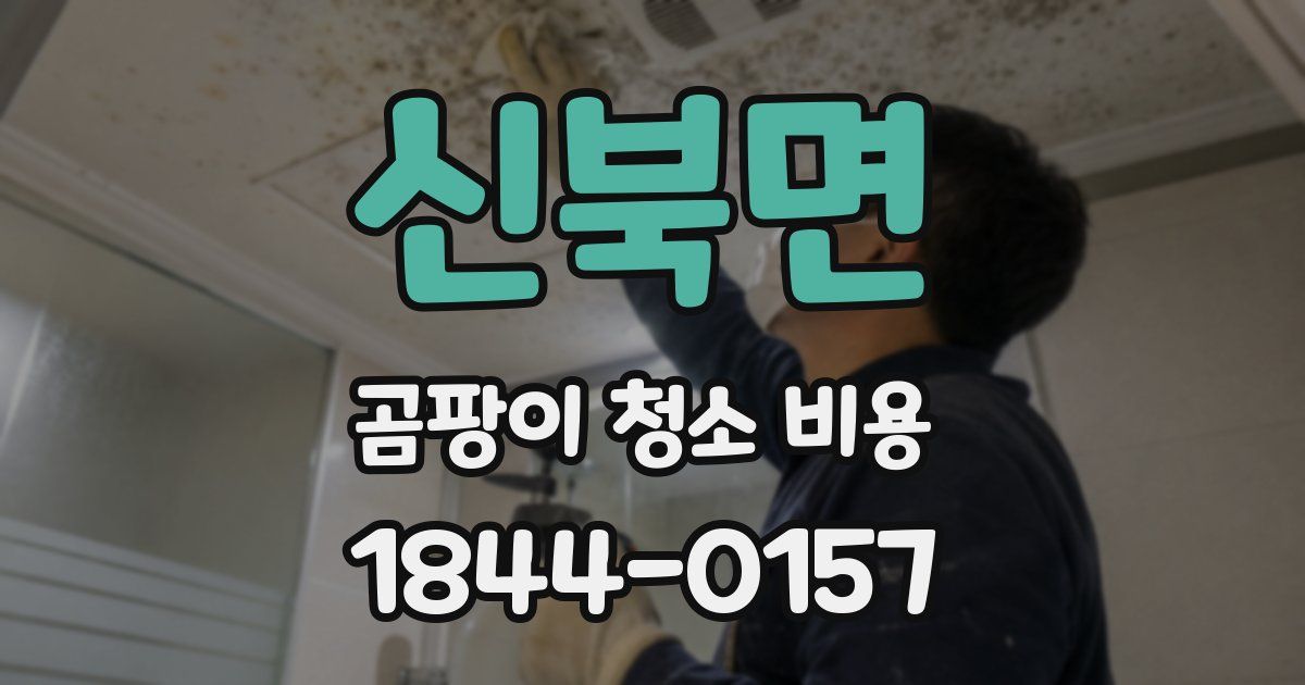 신북면 곰팡이 청소 비용