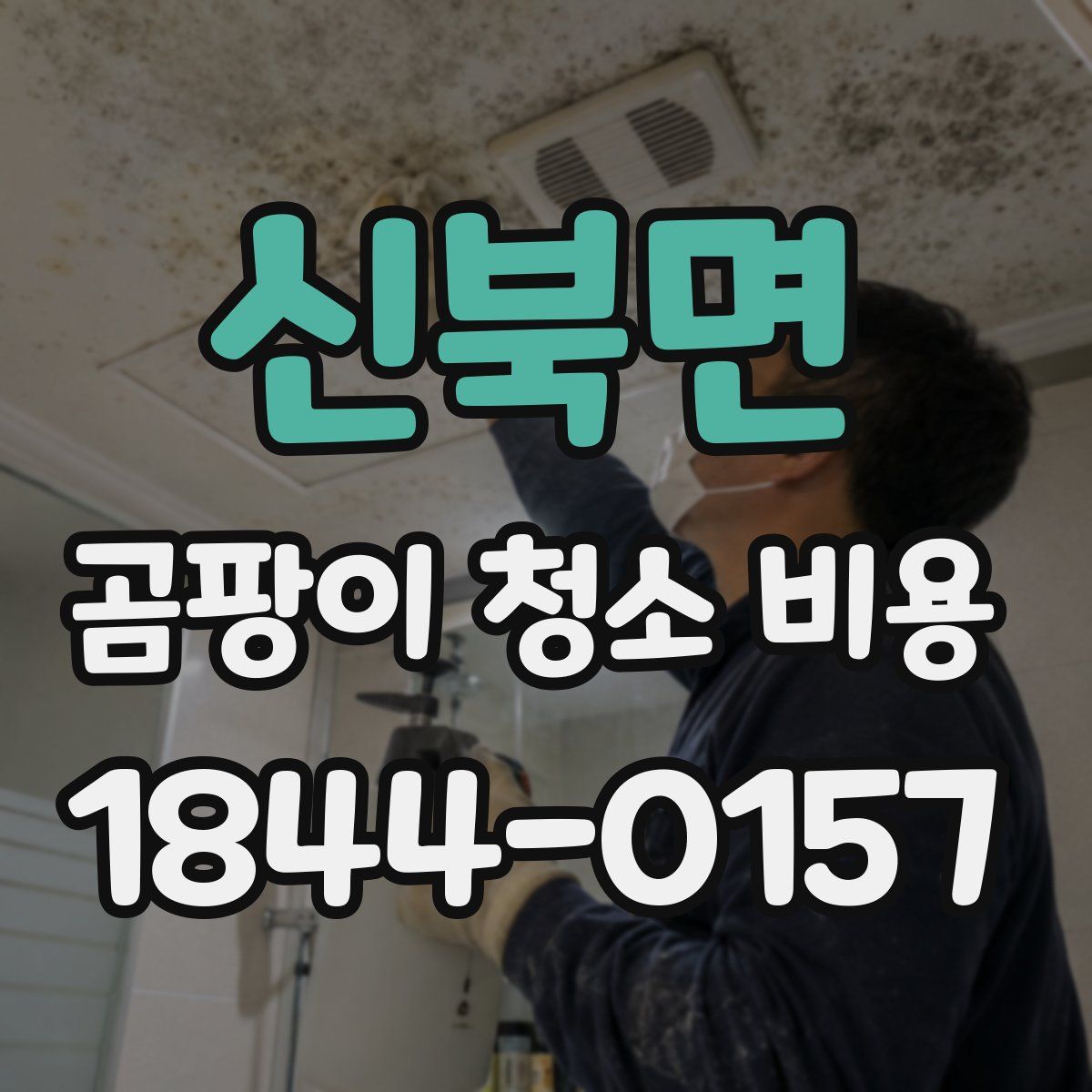 신북면 곰팡이 청소 비용