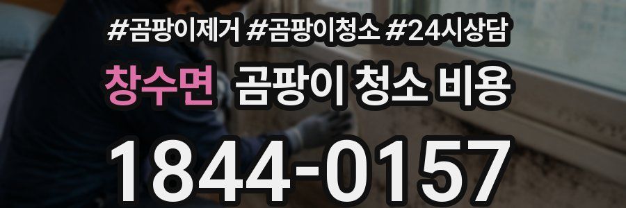 창수면 곰팡이 청소 비용