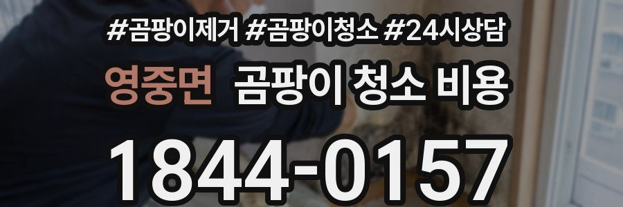 영중면 곰팡이 청소 비용