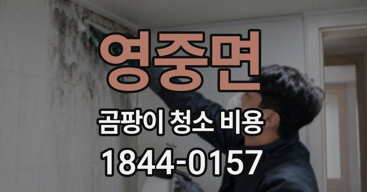 영중면 곰팡이 청소 비용