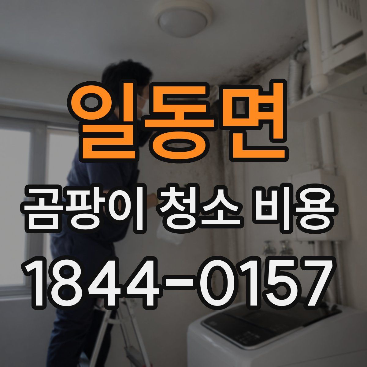 일동면 곰팡이 청소 비용