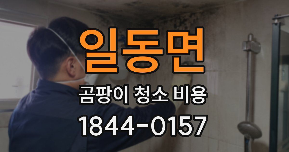 일동면 곰팡이 청소 비용