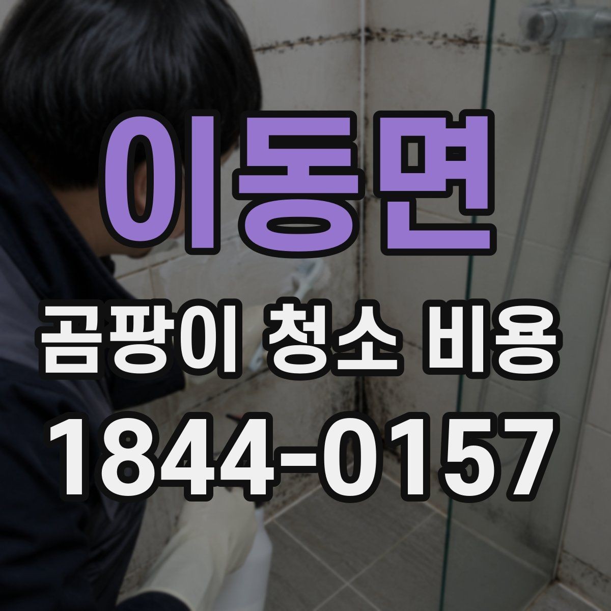 이동면 곰팡이 청소 비용 벽지 뜯음이 포함되는 경우 살펴보기