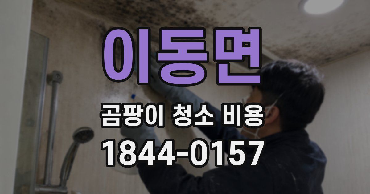 이동면 곰팡이 청소 비용