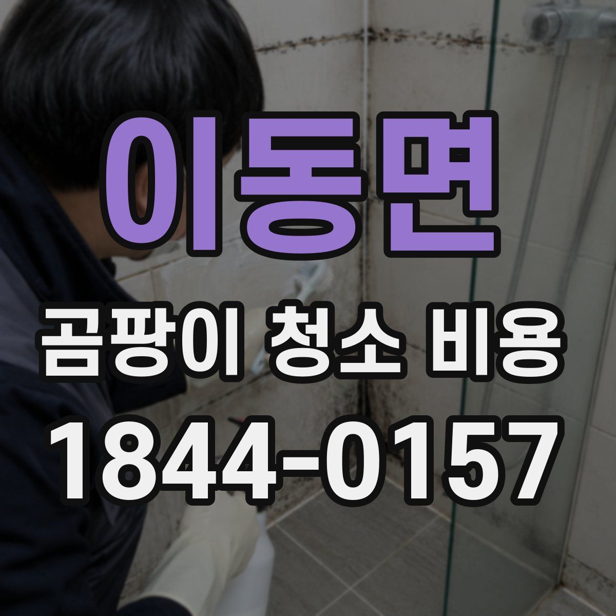 이동면 곰팡이 청소 비용
