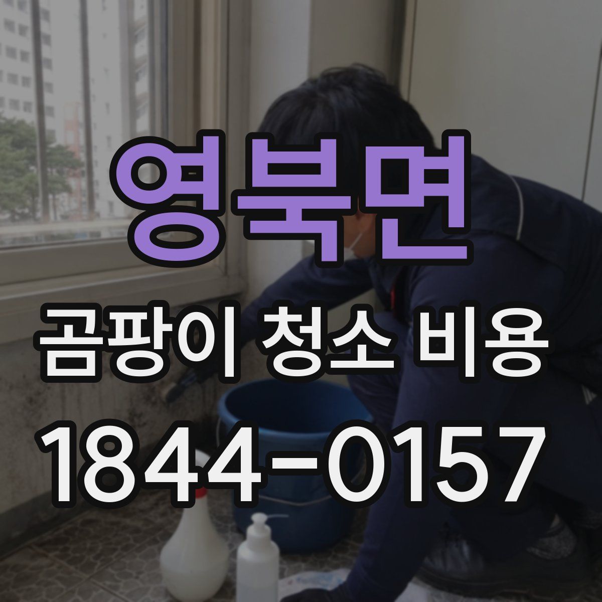 영북면 곰팡이 청소 비용