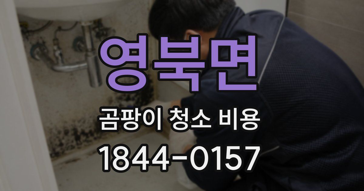 영북면 곰팡이 청소 비용