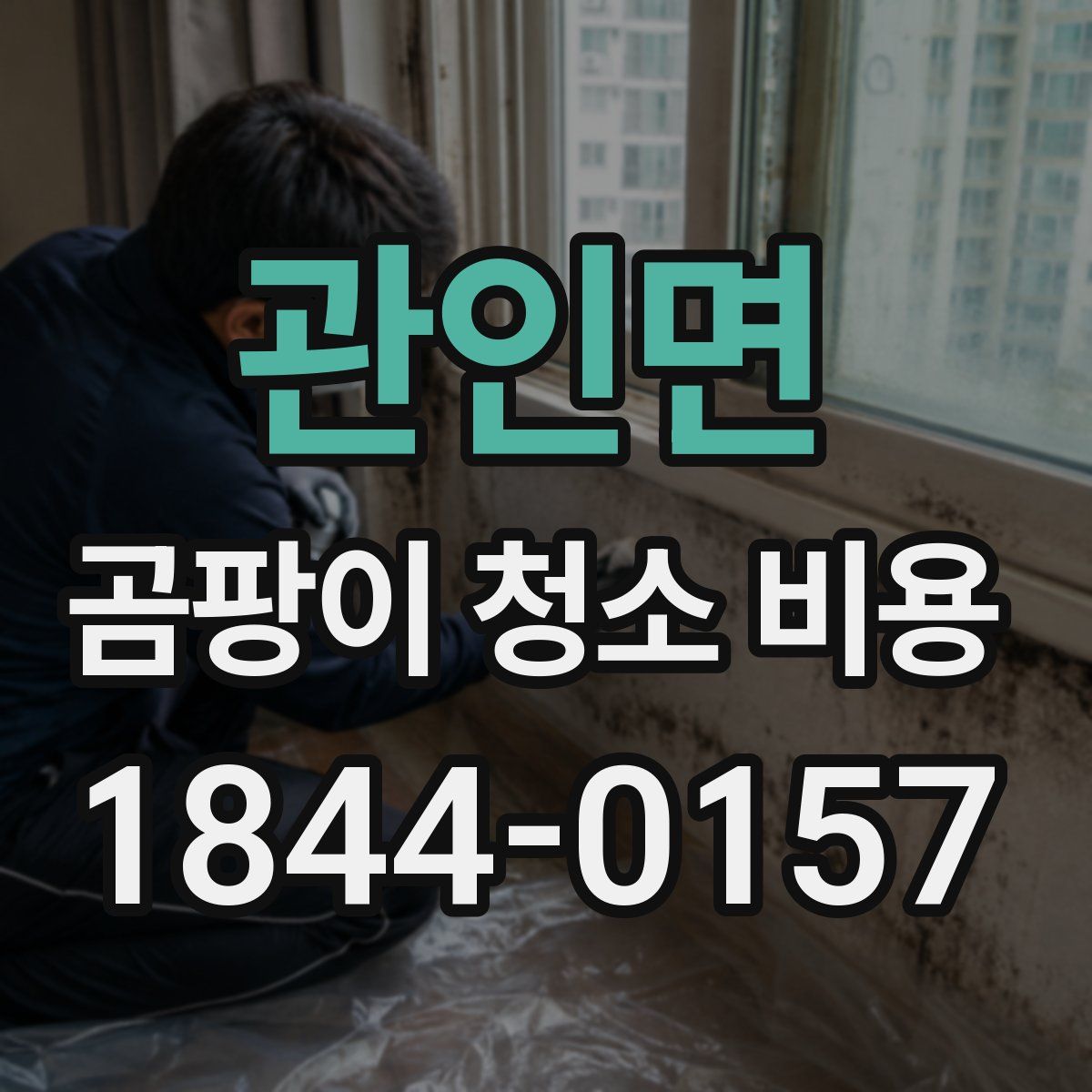 관인면 곰팡이 청소 비용