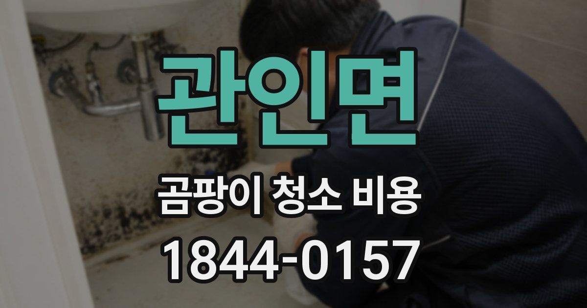 관인면 곰팡이 청소 비용