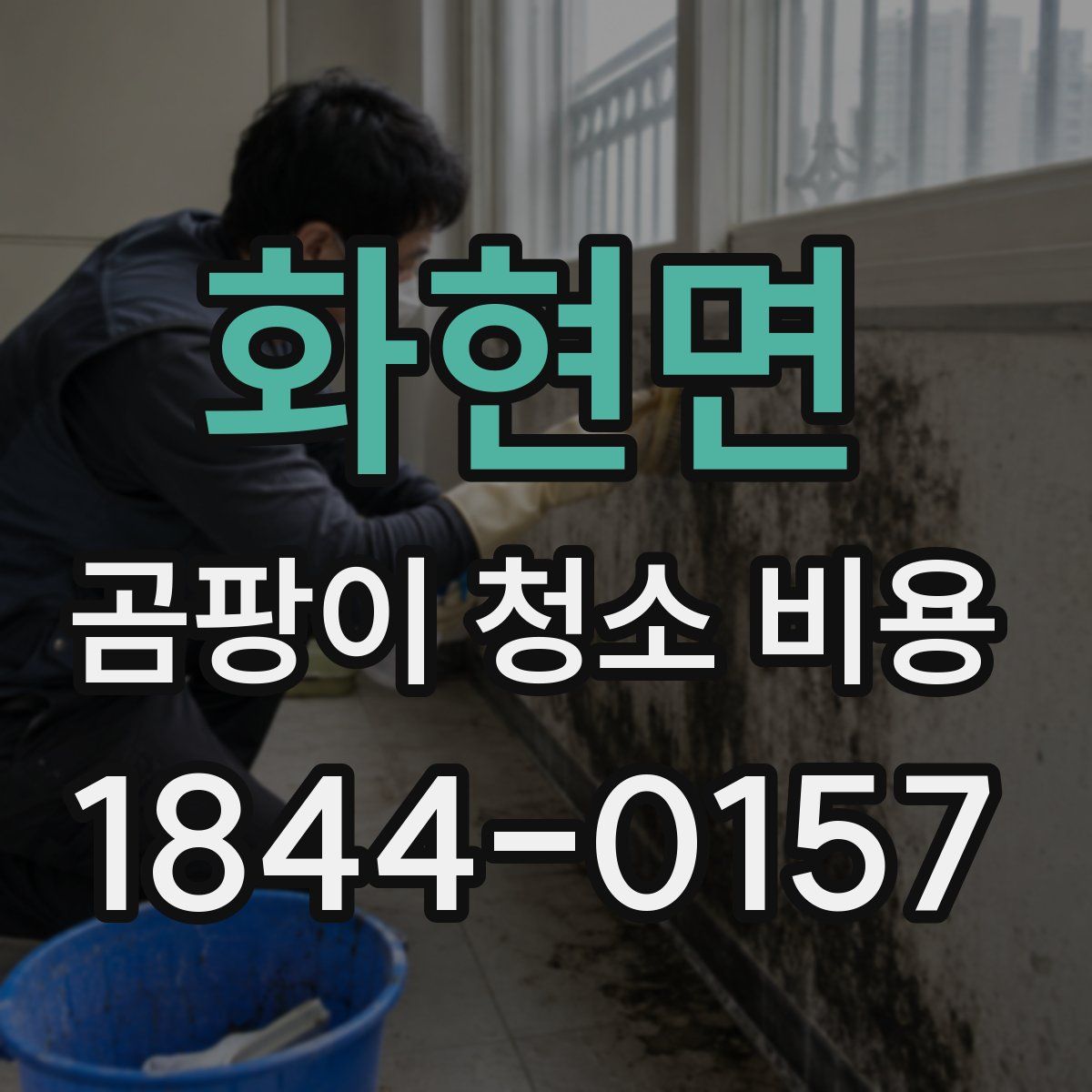 화현면 곰팡이 청소 비용