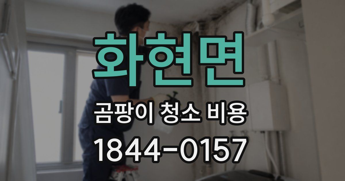 화현면 곰팡이 청소 비용