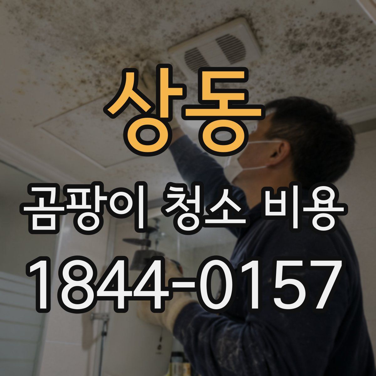 상동 곰팡이 청소 비용