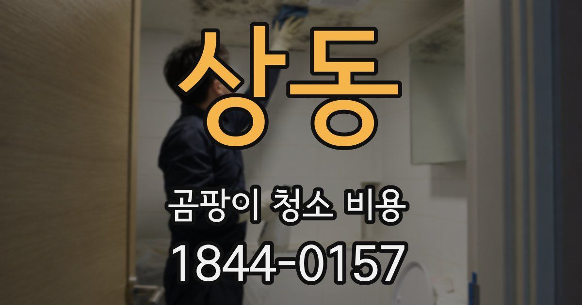 상동 곰팡이 청소 비용