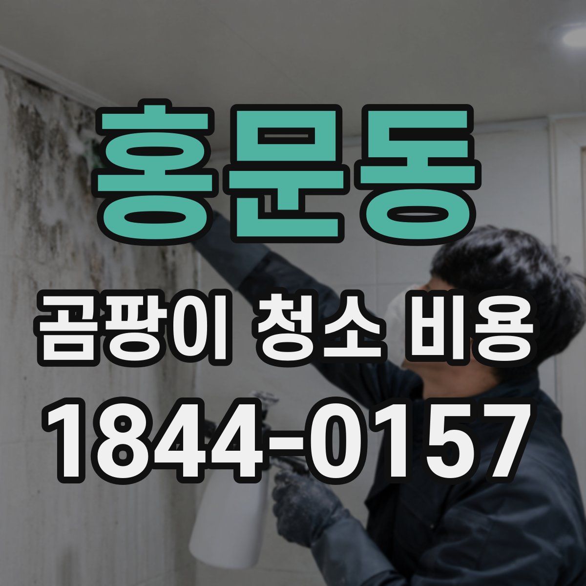 홍문동 곰팡이 청소 비용