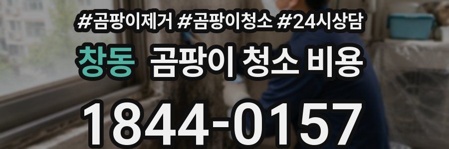 창동 곰팡이 청소 비용